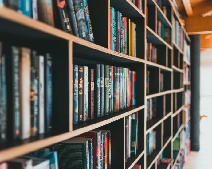 books on brown wooden shelves